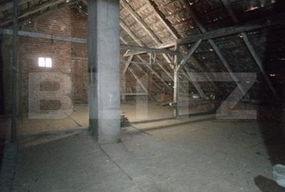 Casa istorica, 2 apartamnte, curte proprie- posibilitati multiple, zona Balcescu - 18