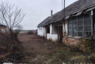 Casă cu 3 camere cu Teren 5492 Mp în Sălard - 2