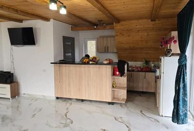 Casă în Avram Iancu - 3