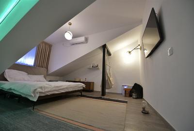 Drumul Taberei, Valea Oltului, Penthouse superb - 4