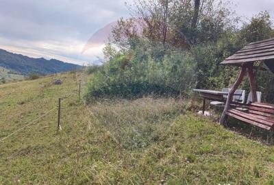 Teren de 3082 mp, în Damiș - 3