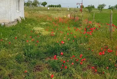 Vand casa si teren - 1