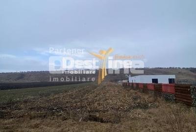 Teren Construcții intravilan de 3200 mp, în Girov - 3