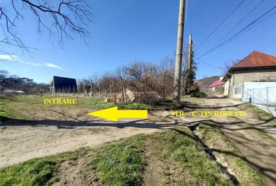 Teren de 2500 mp, în Vest - 16