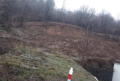 Viilor, 20 ari teren - 1