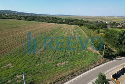 Teren de 7366 mp, în Sărata - 1