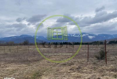 Spațiu comercial, în Central