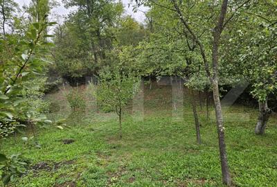 Casa la cheie, teren de 1600 mp, sat Macau, schimb cu aparta - 3