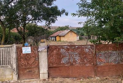 Casă cu 6 camere cu Teren 3400 Mp în Sprâncenata - 8