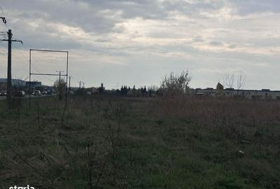 Spațiu comercial, în Ernei - 6