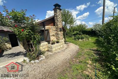 Casă cu 6 camere cu Teren 2026 Mp în Murighiol - 10