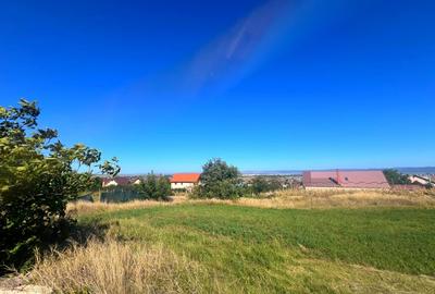 Teren intravilan - 1500 mp, Luizi-Calugara - 1