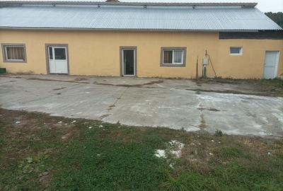 Spațiu comercial, de 1,000 mp, în Central - 3