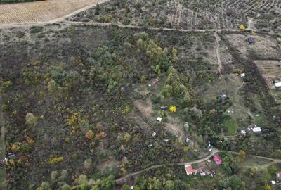 Teren de 18300 mp, în Ghioroc - 13