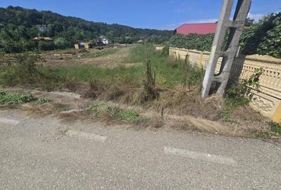 Teren Construcții intravilan de 2131 mp, în Băbana - 3