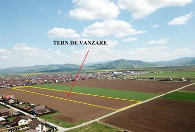 Teren Construcții extravilan de 29200 mp, în Tărlungeni - 3