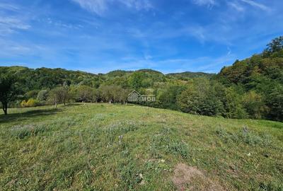 Teren agricol intravilan de 10215 mp, în Vulcana de Sus - 3