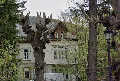 Teren de 3313 mp, în Castelul Peleș