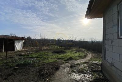 Casă individuală cu 4 camere cu Teren 1600 Mp în Valea Bujorului - 7