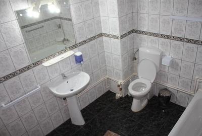 Busteni, ideal azil, hotel - 15