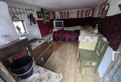 Casă individuală cu 2 camere cu Teren 2723 Mp în Sătic - 3