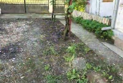 Casă cu 3 camere în Daneți - 7