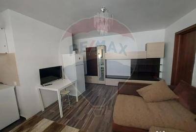 Apartament cu 2 camere semidecomandat în Chiajna - 9
