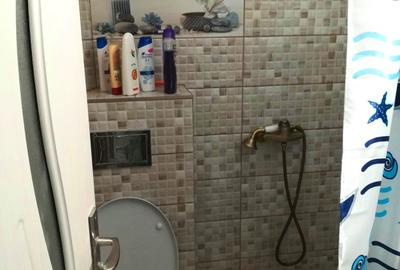 Garsoniera RENOVATA, CT, mobilata, bloc de apartamente ALEXANDRU - 2