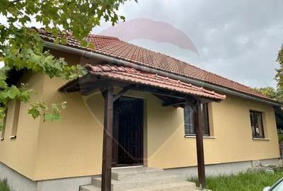 Casă cu 4 camere cu Teren 250 Mp în Ocna Șugatag - 20