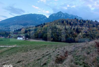 Spațiu comercial, în Paltin - 5