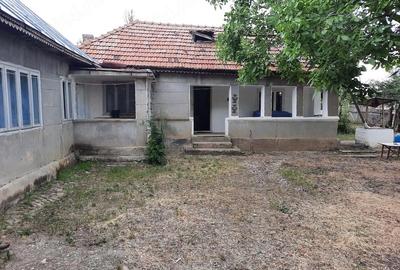 Casă cu Teren 2500 Mp în Terchești - 2