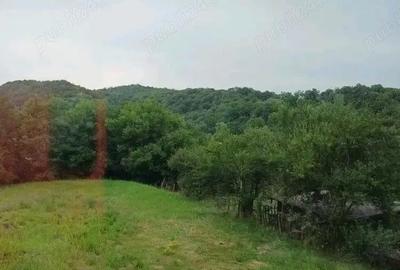 Casă cu Teren 1500 Mp în Valea Iașului - 10