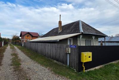 Proprietate cu potential pentru mai multe case - 2