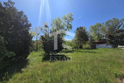 ???? Teren de vanzare in Neptun O oportunitate rara d... - 3