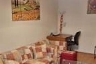 Apartament cu 2 camere decomandat, mobilat în Baba Novac - 8