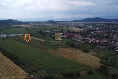 Teren Construcții intravilan de 20000 mp, în Bod - 2