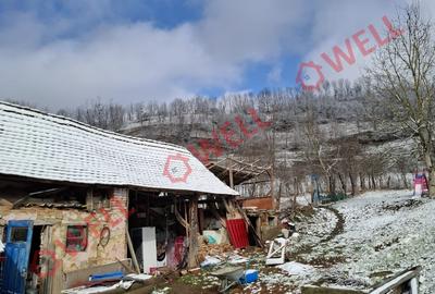 Casă individuală cu 3 camere cu Teren 2000 Mp în Gogan - 7