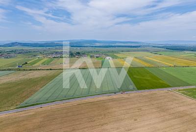 Teren de vanzare I 8 Euro/ mp I Deschidere la drum - Harman Teren de vanzare I 8 Euro/ mp I Deschidere la drum - Harman - 3