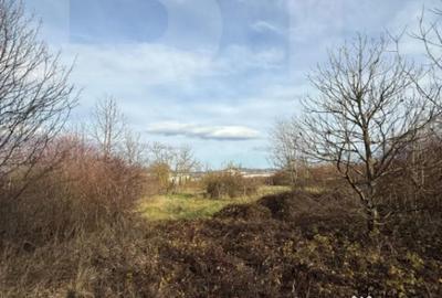 Teren de 6500 mp, în Zarand - 1