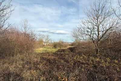 ???? Blitz ofera spre inchiriere Teren 6.500 mp, Calea - 2