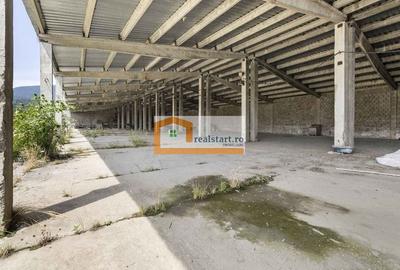 Spatiu Industrial, D 155ml la DJ112A, Acces E68, teren 1,7Ha, - 17