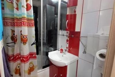 Apartament confortabil si ergonomic, Centrul Civic - Grivitei, Brasov - 7