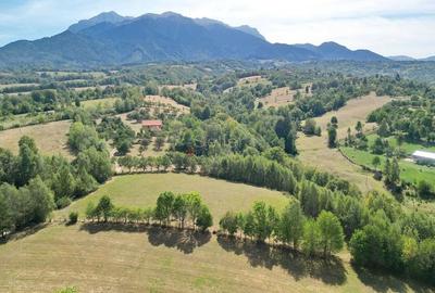 Teren intravilan, priveliste deosebita - 26