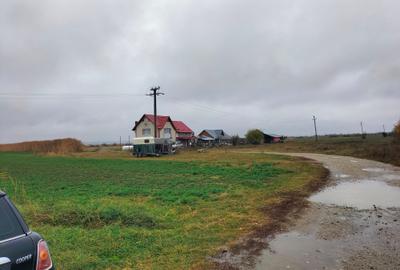 Vând 10000 mp. teren intravilan în orașul Ștefănești.