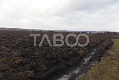 Teren intravilan de vanzare 10.000 mp in zona Industriala Vest Sibiu - 3