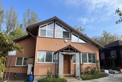 Casa Vladesti ?arina - 16