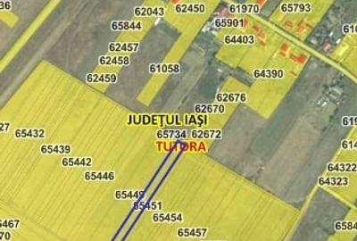 Vând teren intravilan Țuțora 25 €mp negociabil - 2