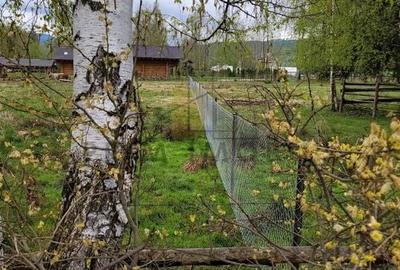 Teren Saru Dornei / Neagra Sarului - oportunitate investitie - 6