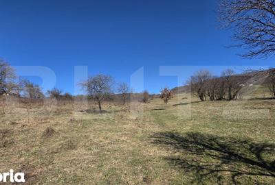 Teren de 8567 mp, în Central - 12