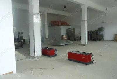 Spațiu comercial, de 10,000 mp, în Drăguțești - 2